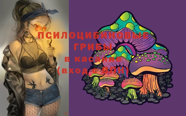 кокаин Горнозаводск