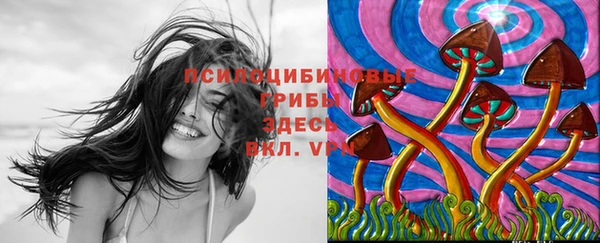 дмт Дмитровск